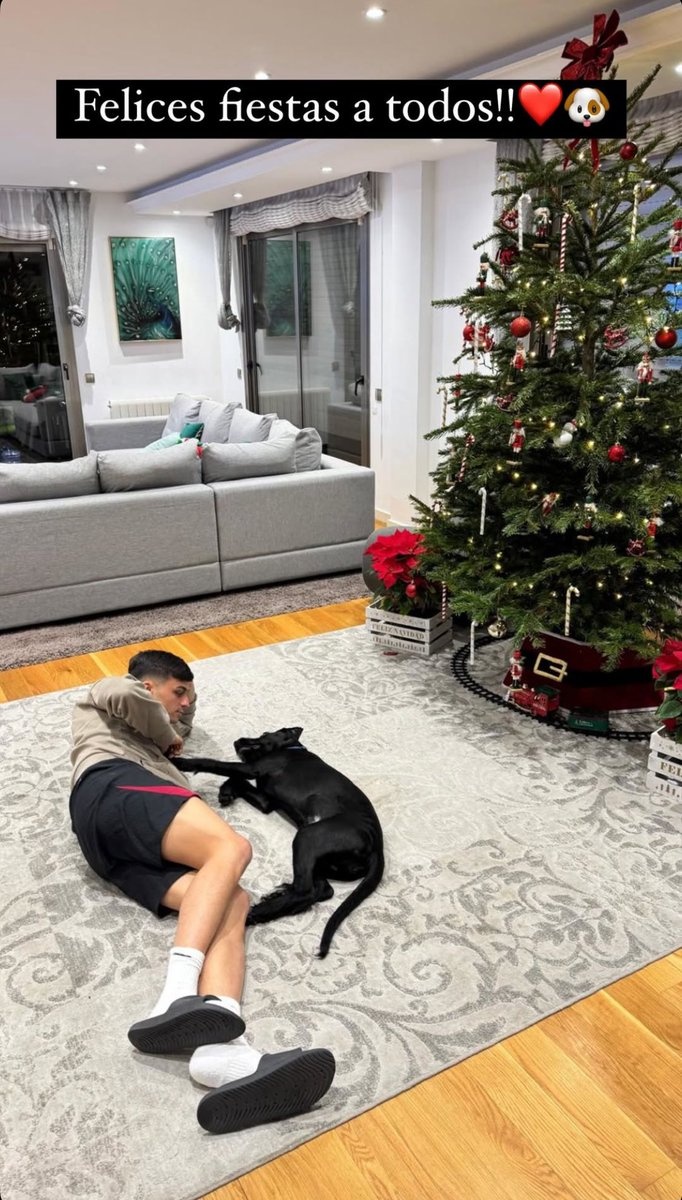 別人曬女友你曬狗，佩德里社媒曬照與愛犬共度平安夜??</p>
                    </div>

                    <br />
                    <div   id=
